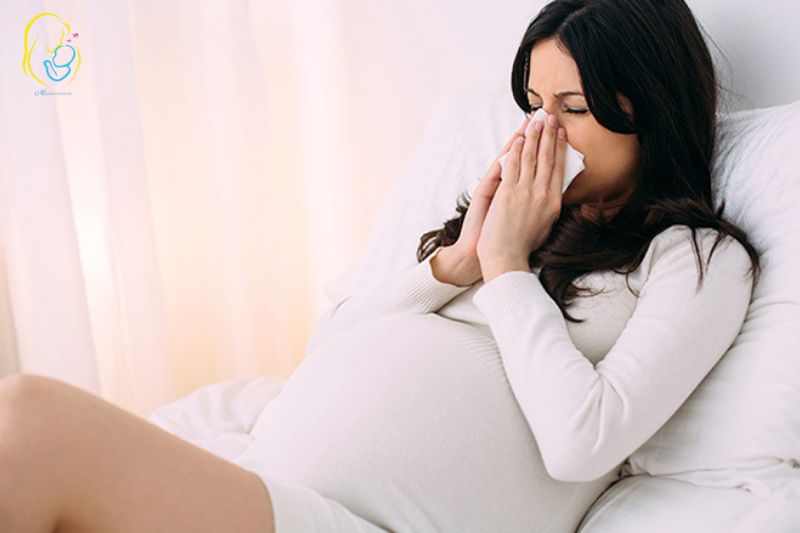 không nên uống nước dừa khi bị cảm lạnh